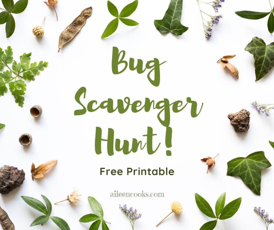 An image of leaves and flowers with the words "bug scavenger hunt" in the center with green lettering.