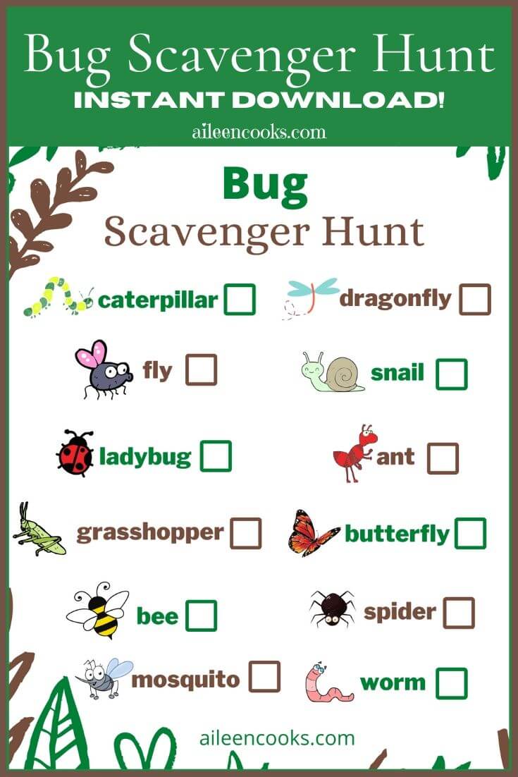 Bug Hunt Free Printable Aileen Cooks