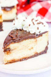 Close up of a slice of brownie cheesecake.