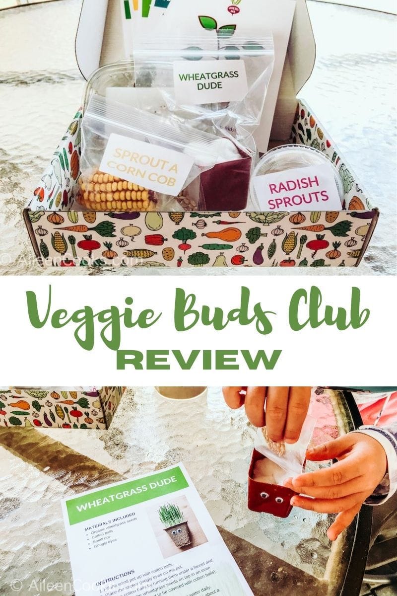 Collage photo of veggie buds club box and a child pouring seeds into a jar with the words "veggie buds club review" in green lettering.