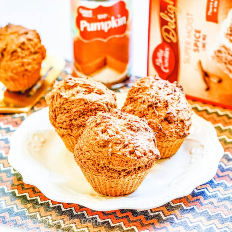Air Fryer Pumpkin Muffins (Just 2 Ingredients!) Aileen Cooks