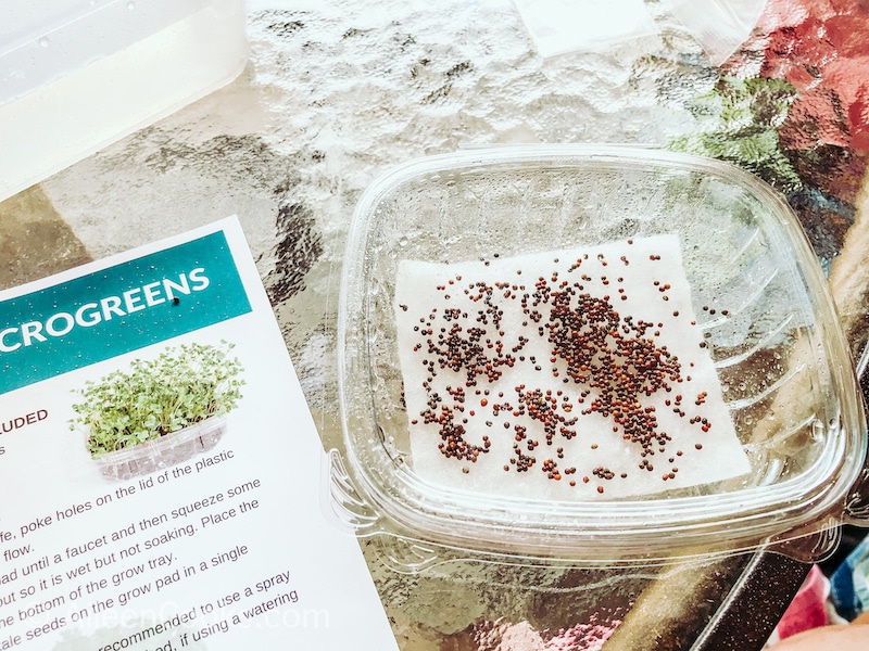 Microgreens seeds on top of a piece fo paper.