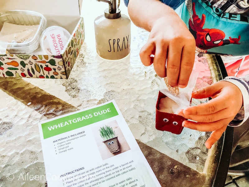 A child's hand pouring seeds in to a small planter.