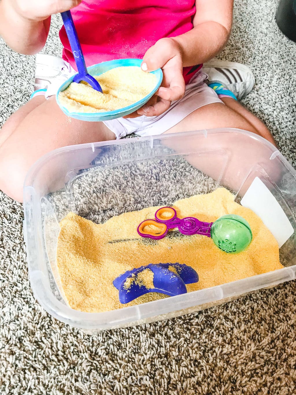 A sensory bin with toys and cornmeal with a child sitting behind it.