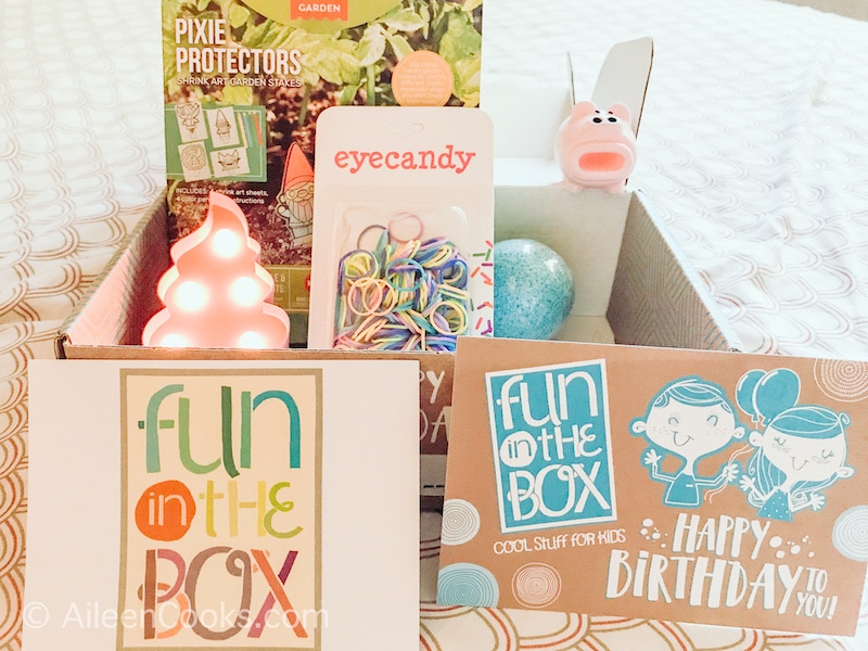 The contents of the Birthday Box inside the box.