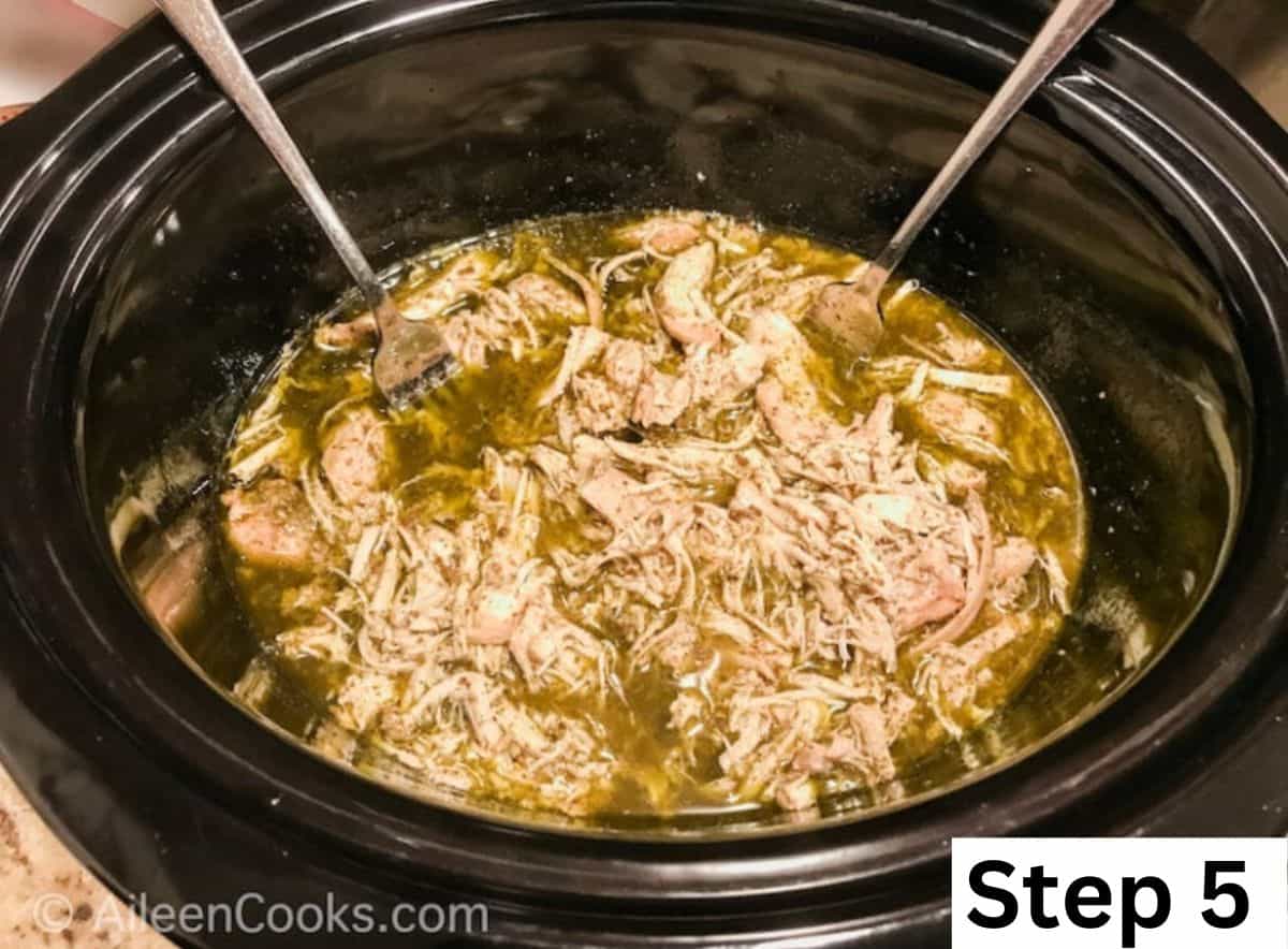 Shredded pesto chicken inside a slow cooker with two forks sticking out.