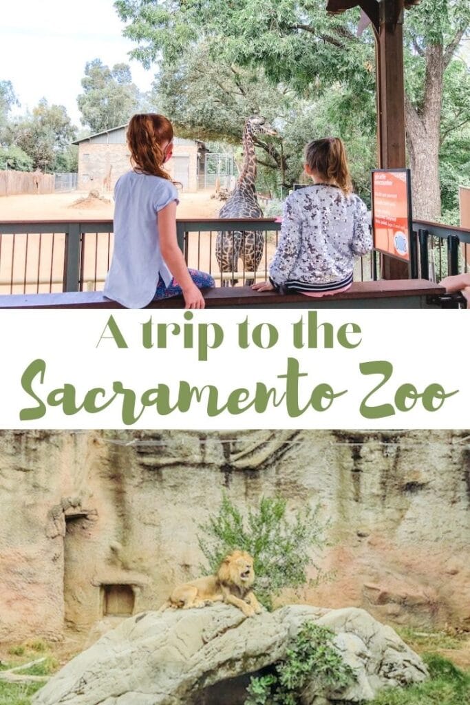 Collage photo of pictures at the zoo with the words "A trip to the Sacramento Zoo" in green lettering.