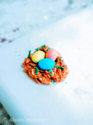 Chocoalte birds nest topped with three mini Robins Eggs candies.