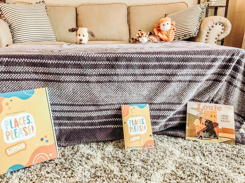 Three animal hand puppets held up behind a table covered in a grey blanket.