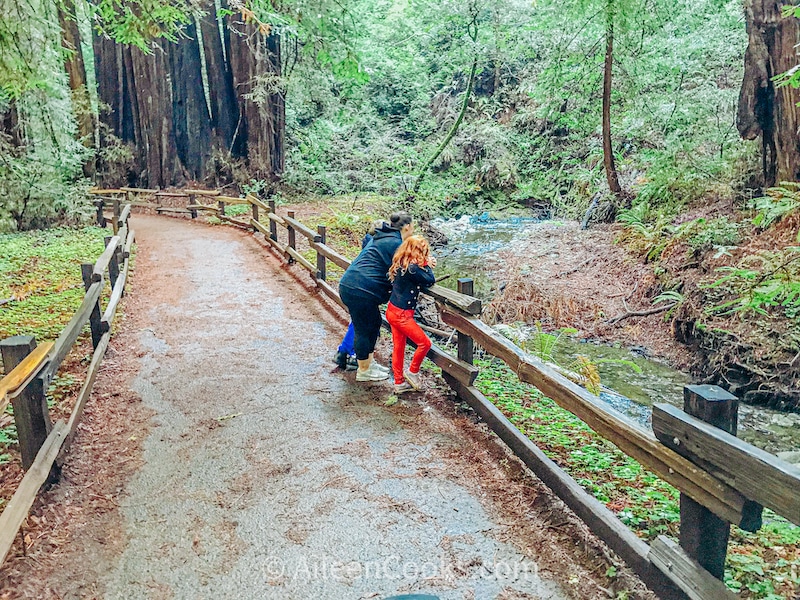 A woman and child leaning against the fence of a trail inside Muir Woods.