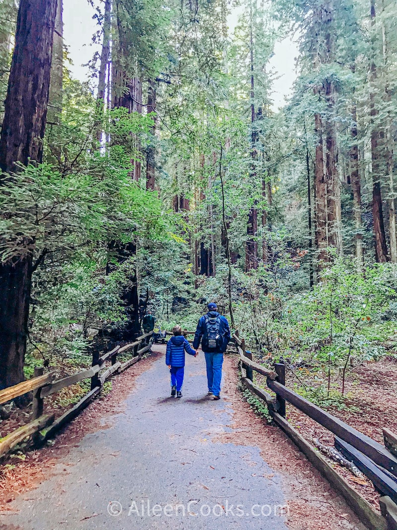 A father and son holding hands and walking among a grove of Redwood Trees. 