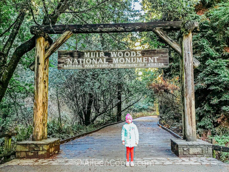 How to Visit the Muir Woods National Monument with Kids