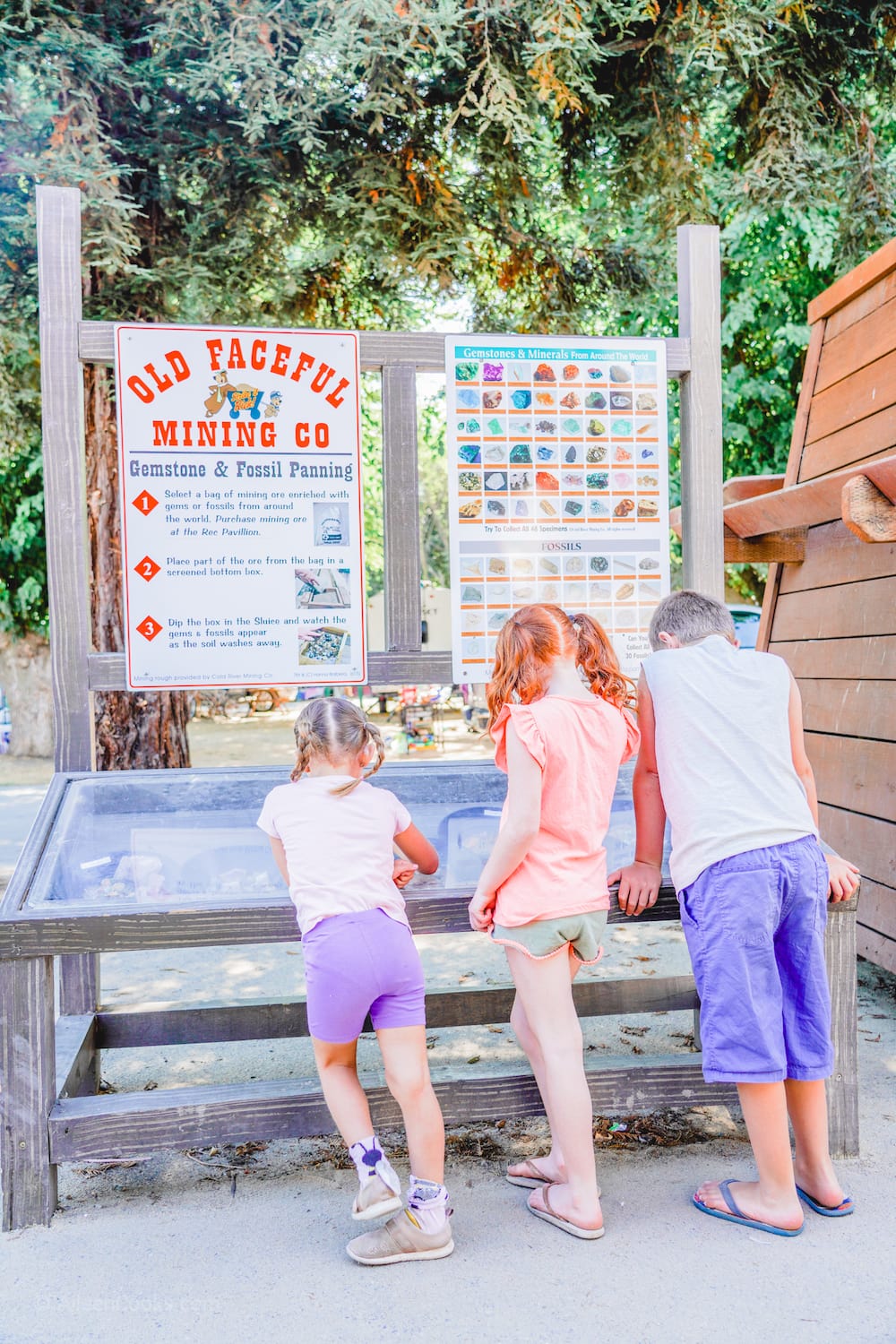 Three kids with their backs turned, looking at the gems at the gem mining station at Tower Park.