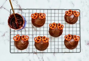 Chocolate cupcakes with two mini pretzels for antlers.