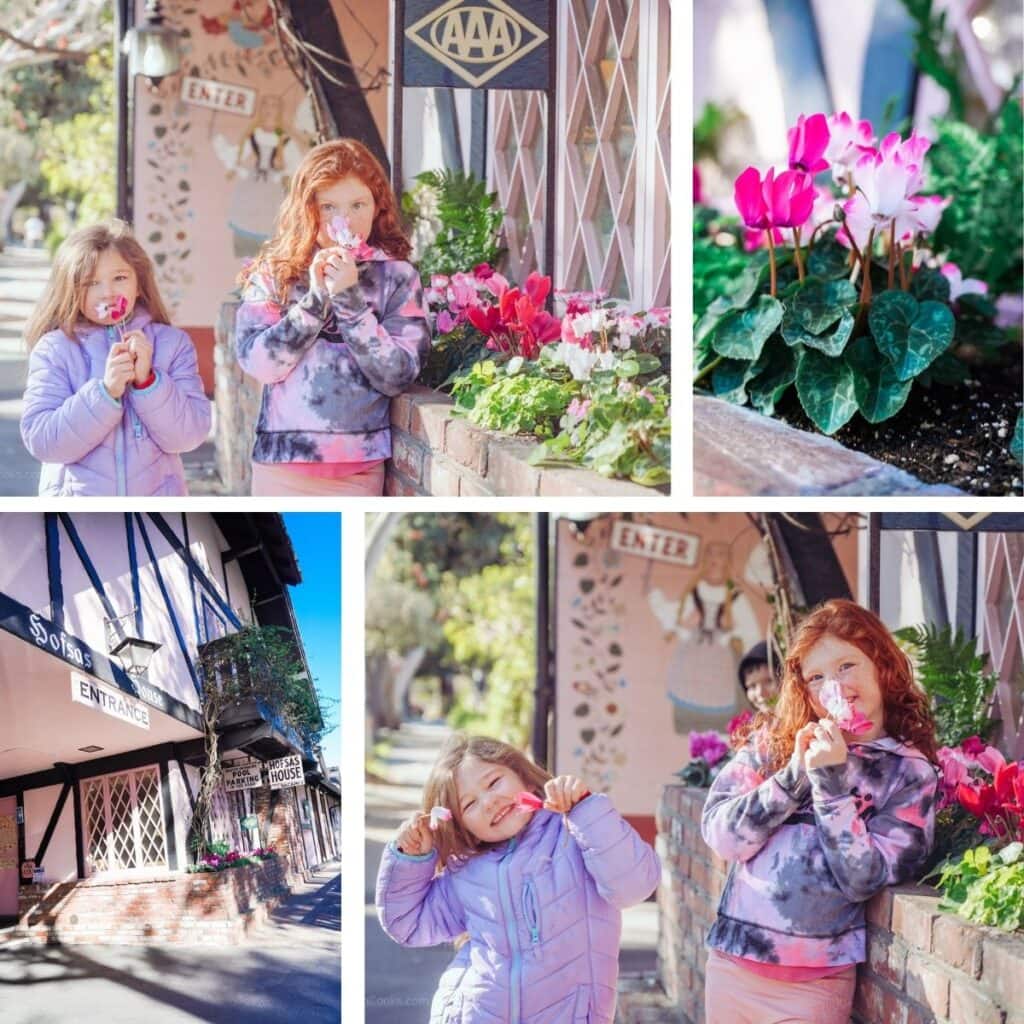 A collage of two girls with the flowers in front of Hofsas House Hotel.