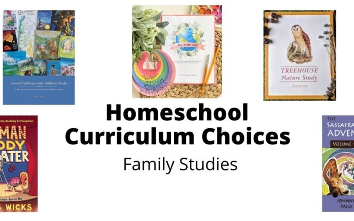 Collage photo of four different curriculums with the words "homeschool curriculum choices".