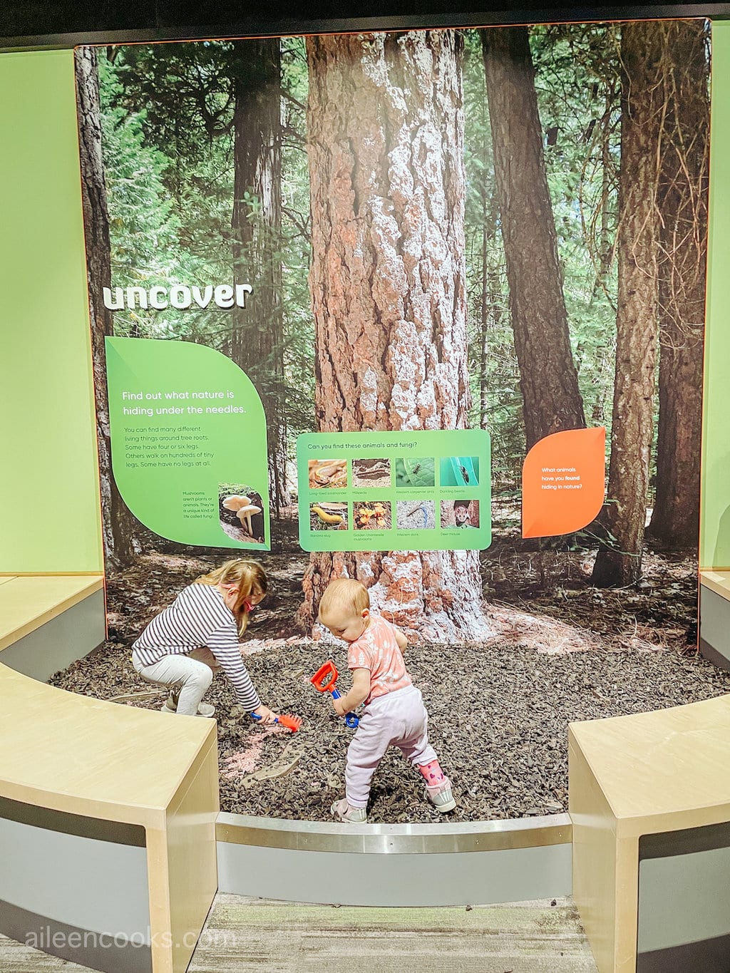 Two kids exploring the nature detectives exhibition at MOSAC.