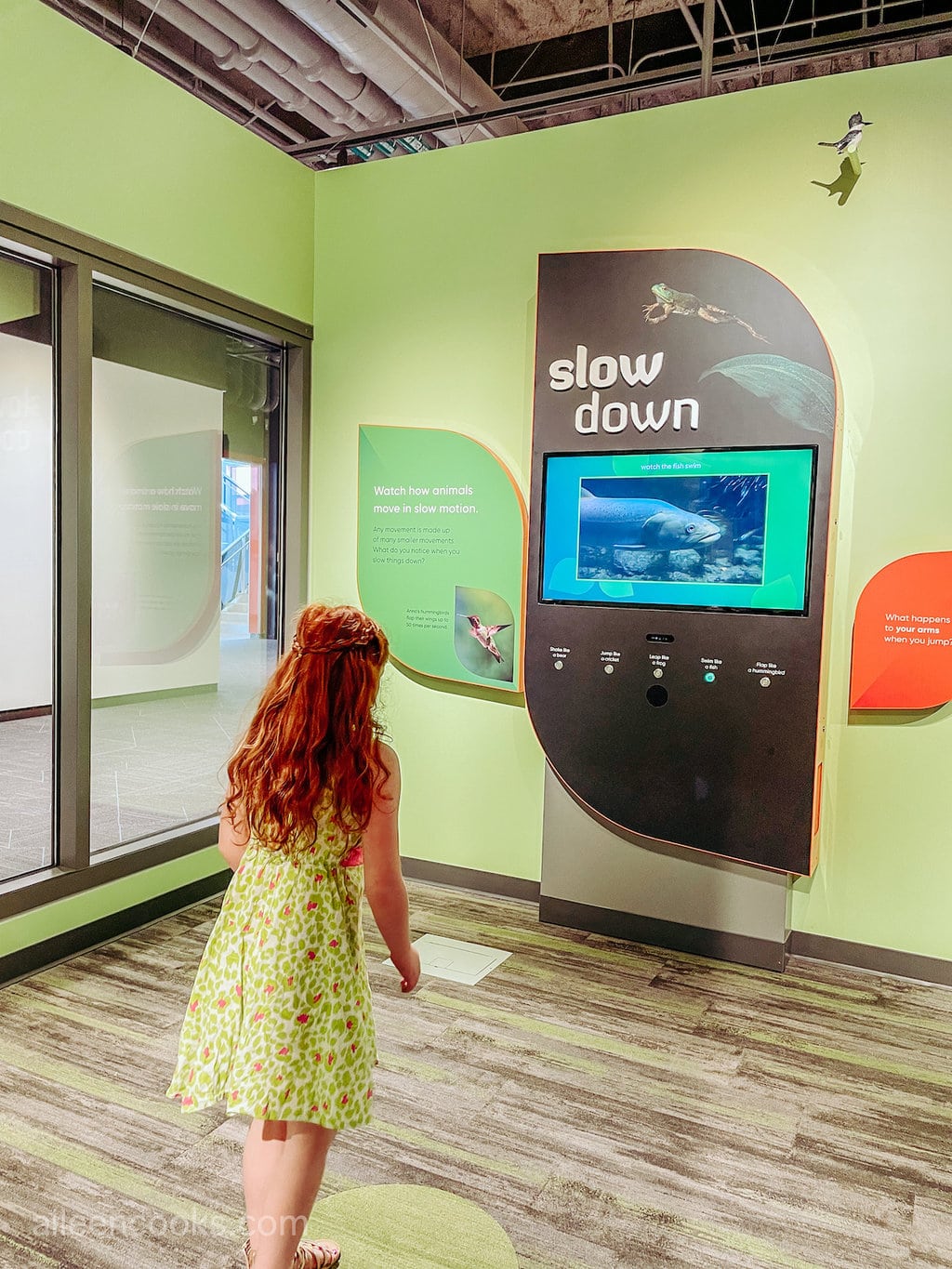 A girl standing in front of the Slow Down Exhibit at MOSAC.