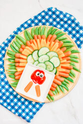 Bird’s eye view of a Turkey Veggie Tray, with vegetables including cucumber and snap peas, laid out to look like a turkey, with a blue plaid towel in the background