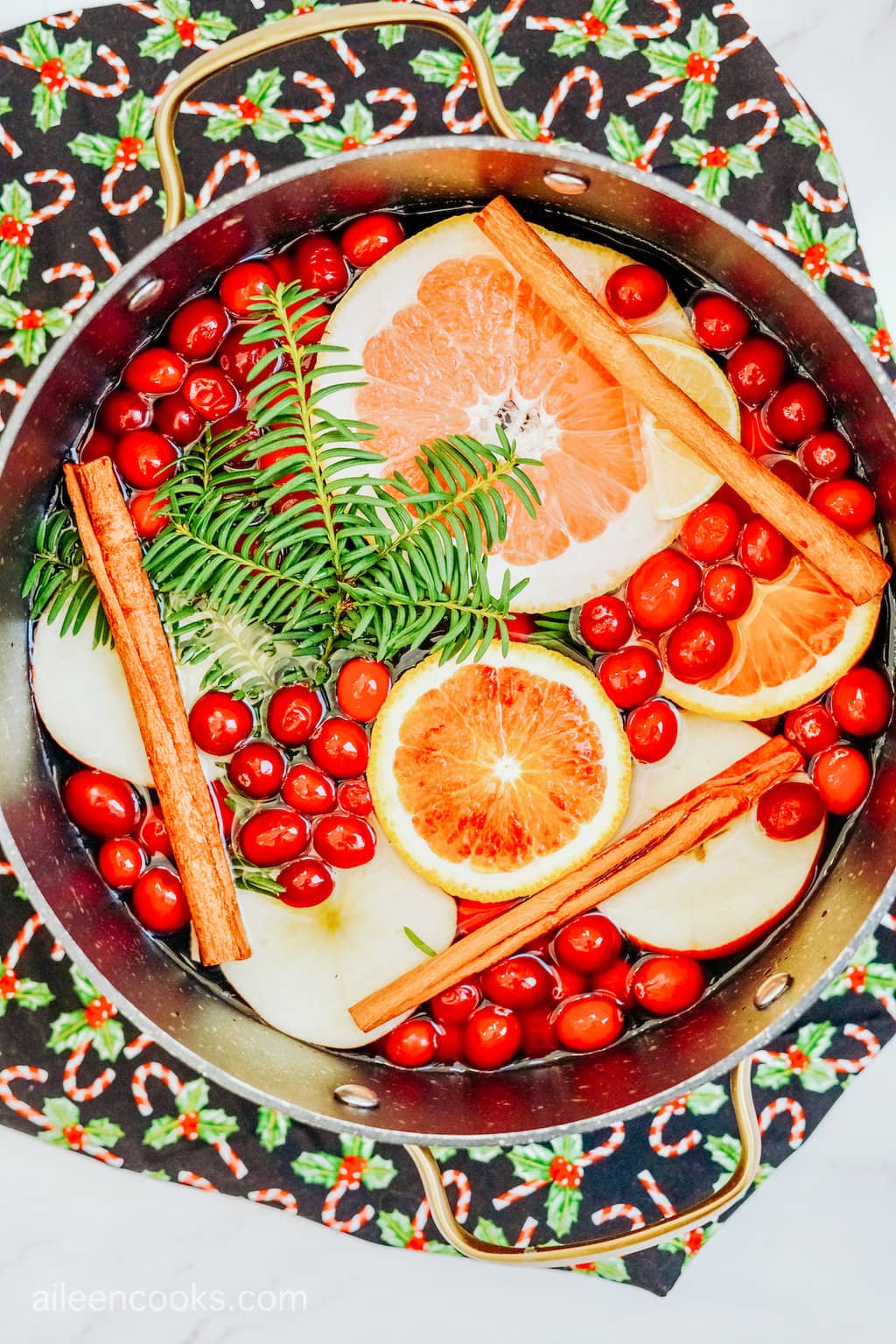 Bird’s eye view of a Christmas simmer pot, filled with ingredients like cinnamon sticks, apples, cranberries, etc.